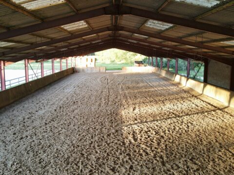 image du manege
