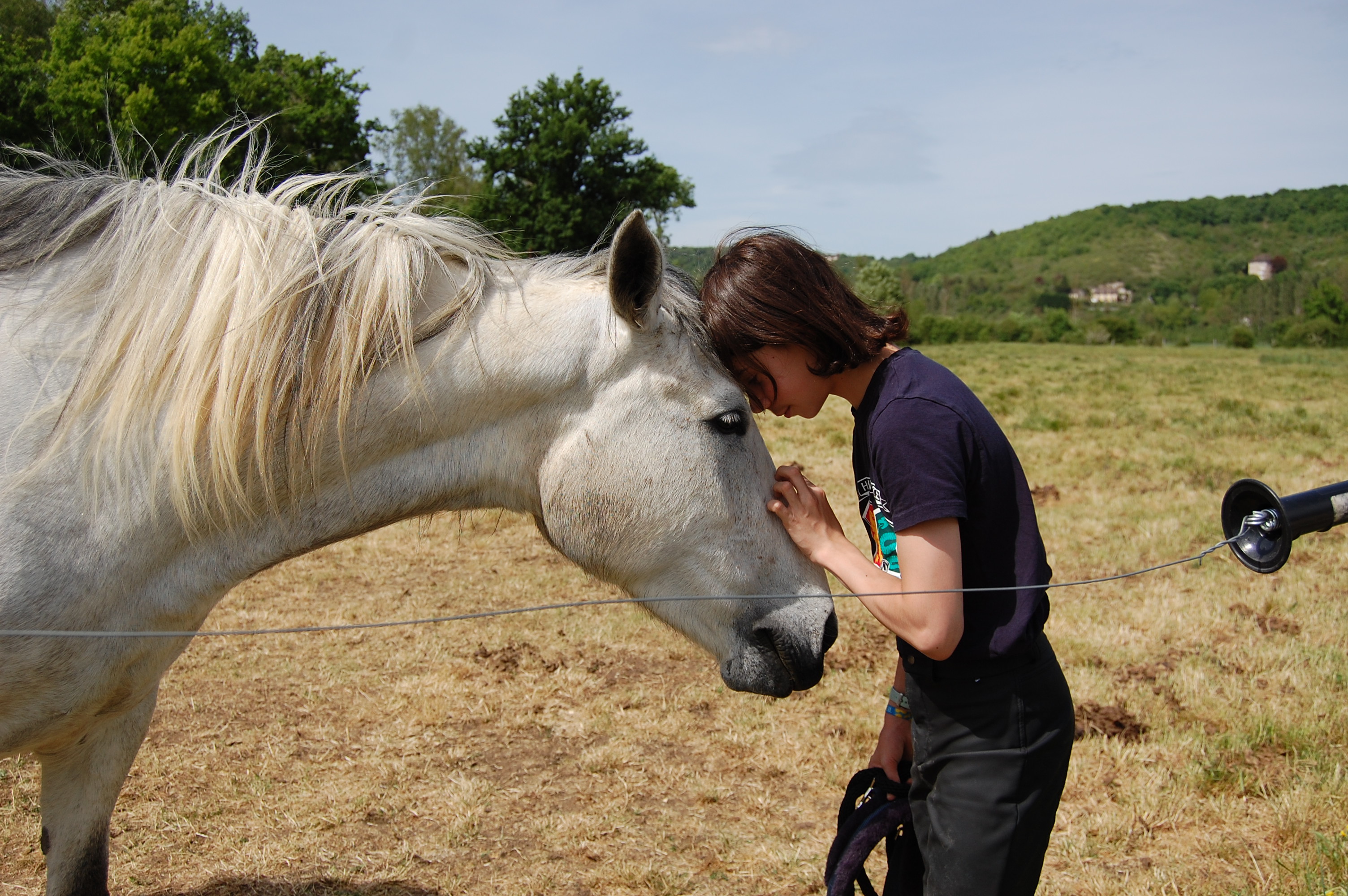photo du centre equestre avec un cheval devant